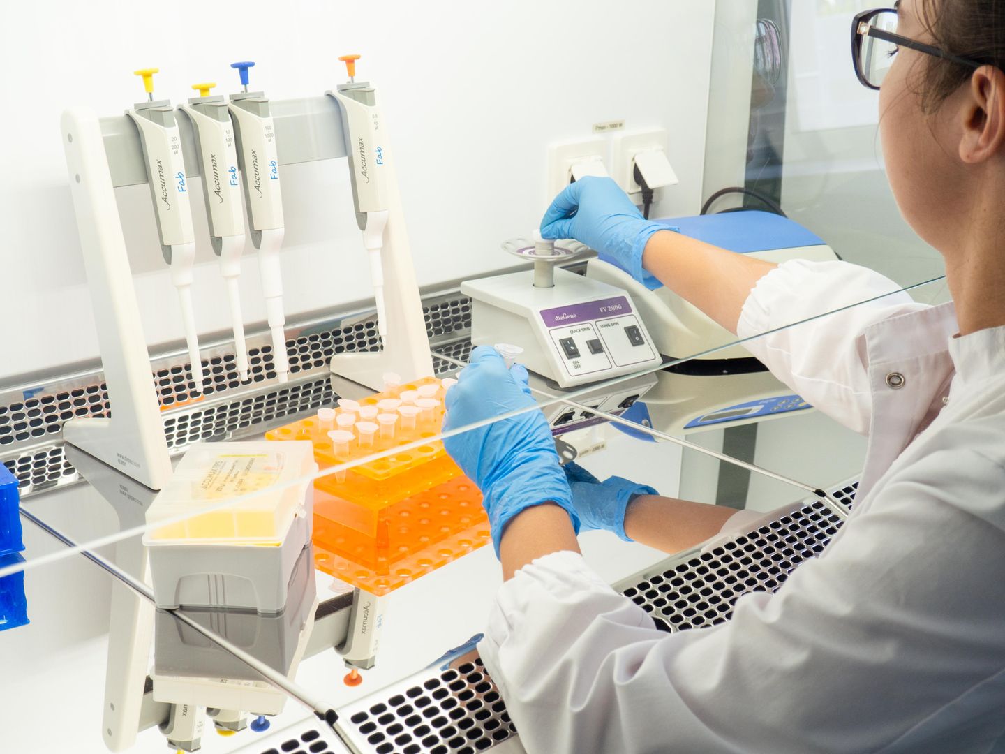 Федеральное государственное бюджетное образовательное учреждение высшего образования «Ульяновский государственный университет»